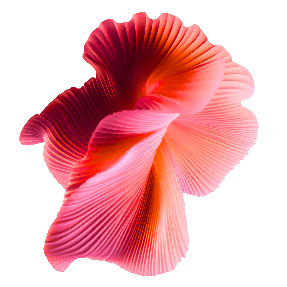 AdobeStock_1092476450 (1)